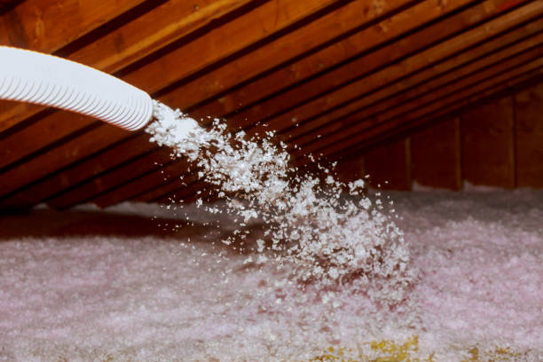 Best Insulation Installation Services in Sebastian, TX