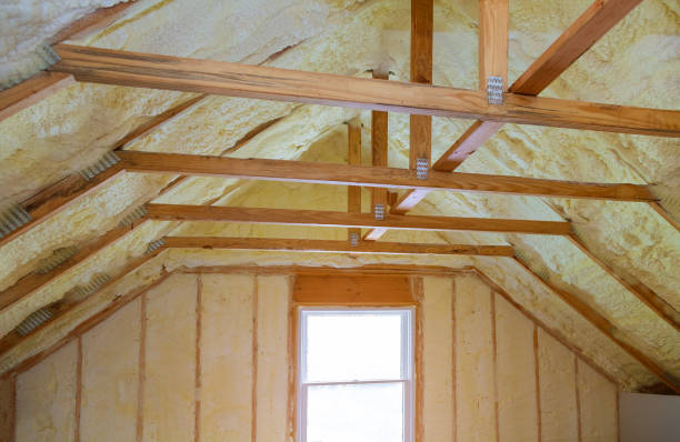 Best Insulation Installation Services in Sebastian, TX